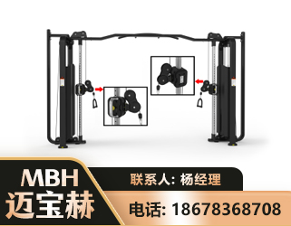 漯河大飞鸟训练器